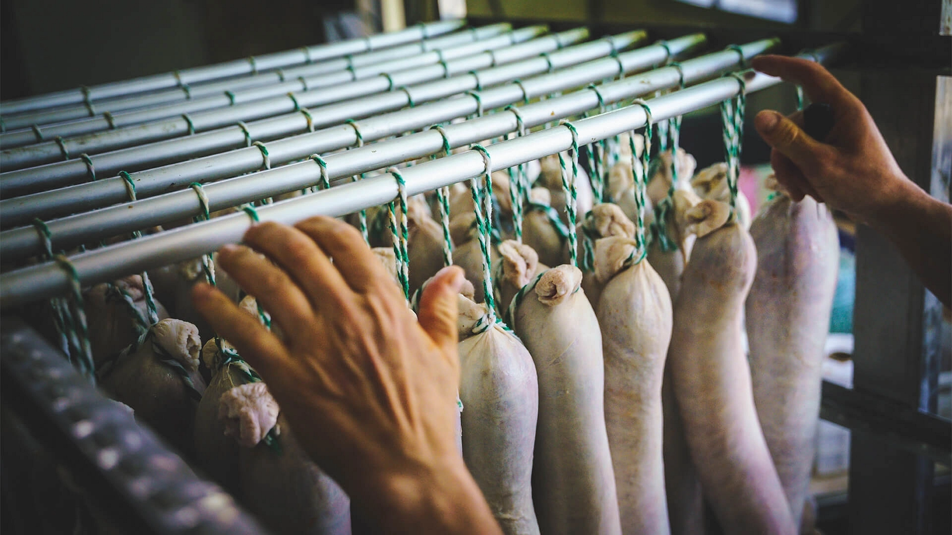 Attrezzature e Strutture Attrezzature e Strutture